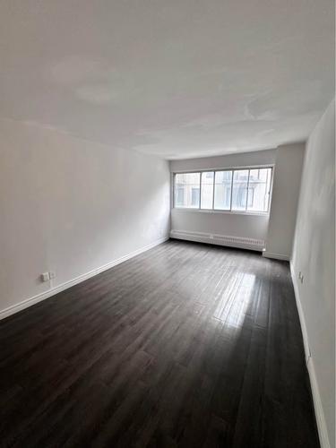 Appartement de 1 chambre à louer à Montreal - Le Plateau-Mont-Royal — photo 3