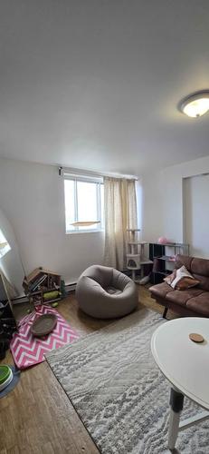 1 bedroom apartment for rent in Montreal - Rosemont–La Petite-Patrie — photo 4