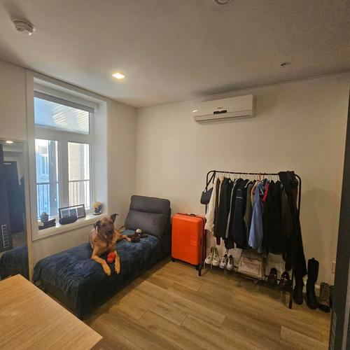 Studio for rent in Québec - La Cité-Limoilou — photo 2