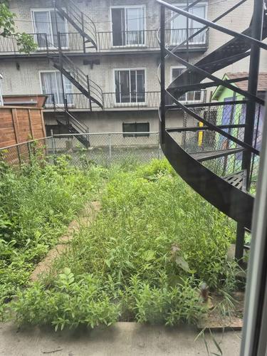 Appartement de 1 chambre à louer à Montreal - Rosemont–La Petite-Patrie — photo 7