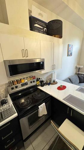 Appartement de 1 chambre à louer à Montreal - Le Plateau-Mont-Royal — photo 2