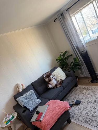 Appartement de 1 chambre à louer à Gatineau — photo 3