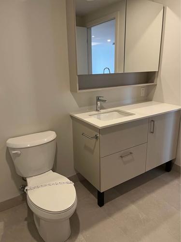 1 bedroom apartment for rent in Lévis — photo 4