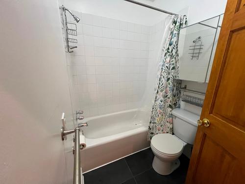 1 bedroom apartment for rent in Montreal - Le Plateau-Mont-Royal — photo 6