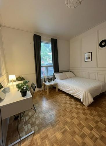 4 bedrooms apartment for rent in Montreal - Le Plateau-Mont-Royal — photo 3