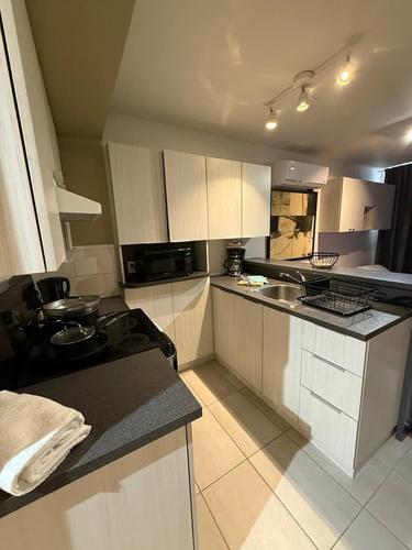 Studio for rent in Montreal - Le Plateau-Mont-Royal — photo 6