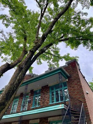 Studio for rent in Québec - La Cité-Limoilou — photo 10
