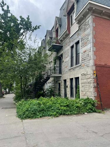 Appartement de 1 chambre à louer à Montreal - Le Plateau-Mont-Royal — photo 11