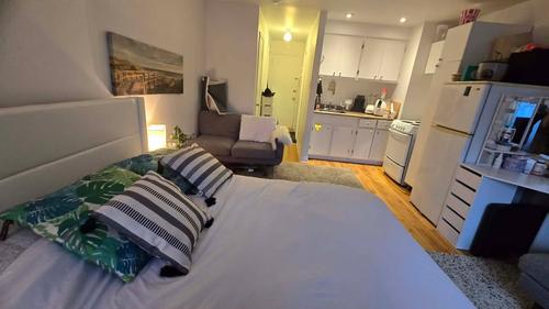Studio à louer à Montreal - Le Plateau-Mont-Royal — photo 3