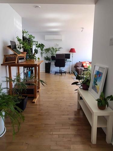 Studio à louer à Montreal - Le Plateau-Mont-Royal — photo 12