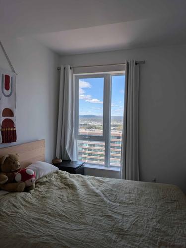Appartement de 2 chambres à louer à Québec - Sainte-Foy–Sillery–Cap-Rouge — photo 5