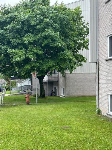 Appartement de 2 chambres à louer à Lévis — photo 2