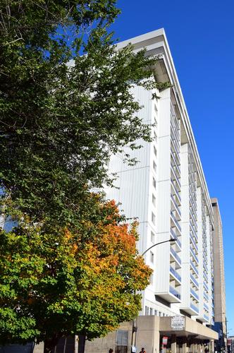 1 bedroom apartment for rent in Montreal - Le Plateau-Mont-Royal — photo 13