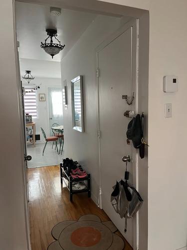 1 bedroom apartment for rent in Montreal - Le Plateau-Mont-Royal — photo 5