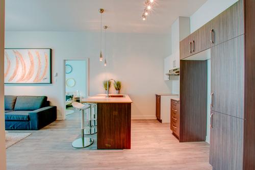 2 bedrooms apartment for rent in Longueuil — photo 8