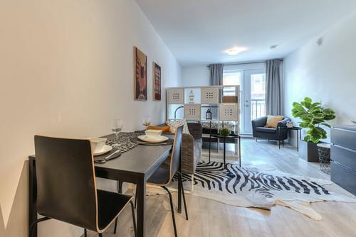 Studio à louer à Montreal - Mercier–Hochelaga-Maisonneuve — photo 3