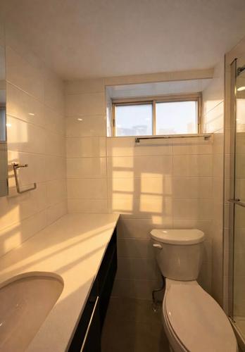 1 bedroom apartment for rent in Montreal - Le Plateau-Mont-Royal — photo 2