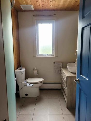 1 bedroom apartment for rent in Lévis — photo 6