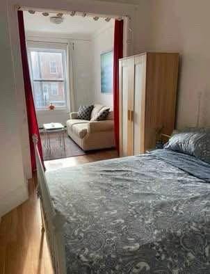 1 bedroom apartment for rent in Montreal - Rosemont–La Petite-Patrie — photo 7