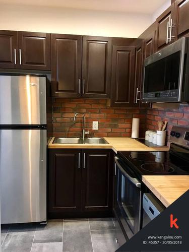 1 bedroom apartment for rent in Montreal - Rosemont–La Petite-Patrie — photo 2