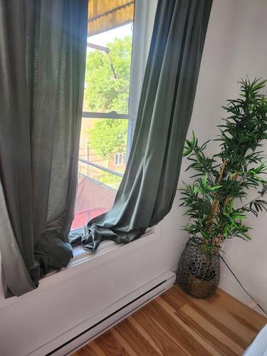 Appartement de 2 chambres à louer à Montreal - Rosemont–La Petite-Patrie — photo 3