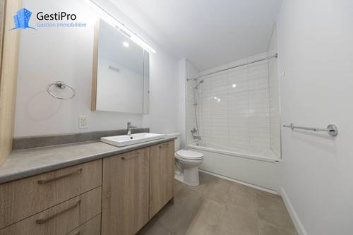 Appartement de 1 chambre à louer à Québec - La Cité-Limoilou — photo 7