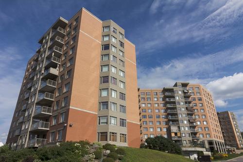 2 bedrooms apartment for rent in Québec - Sainte-Foy–Sillery–Cap-Rouge — photo 11