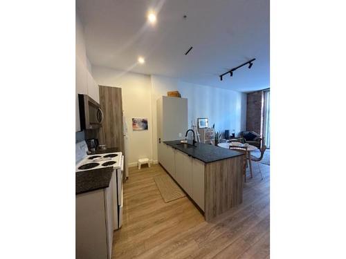 1 bedroom apartment for rent in Québec - Beauport — photo 3