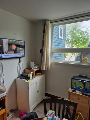 1 bedroom apartment for rent in Lévis — photo 5