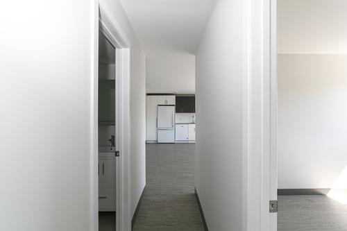 Appartement de 2 chambres à louer à Montreal - Le Plateau-Mont-Royal — photo 15