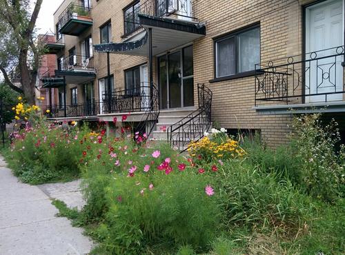 Appartement de 1 chambre à louer à Montreal - Côte-des-Neiges–Notre-Dame-de-Grâce — photo 10