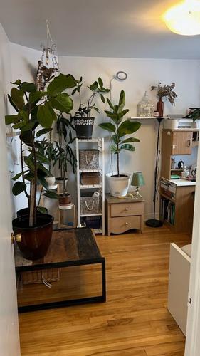 Appartement de 1 chambre à louer à Montreal - Mercier–Hochelaga-Maisonneuve — photo 9