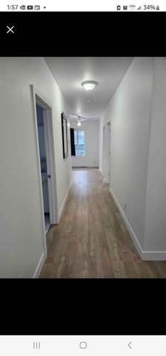Appartement de 2 chambres à louer à Montreal - Le Plateau-Mont-Royal — photo 2