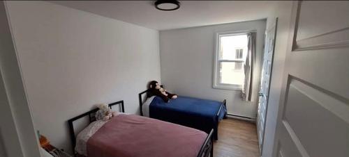 2 bedrooms apartment for rent in Québec - La Cité-Limoilou — photo 5