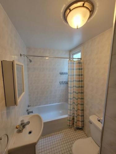 1 bedroom apartment for rent in Montreal - Rosemont–La Petite-Patrie — photo 3