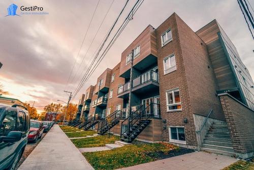 Appartement de 3 chambres à louer à Québec - La Cité-Limoilou — photo 15
