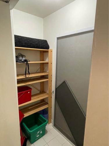 2 bedrooms apartment for rent in Montreal - Le Plateau-Mont-Royal — photo 11