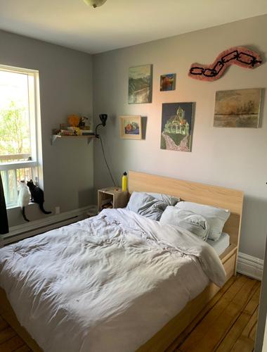 Appartement de 2 chambres à louer à Montreal - Le Plateau-Mont-Royal — photo 10