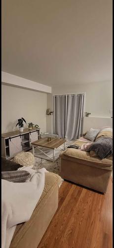 Appartement de 1 chambre à louer à Gatineau — photo 2
