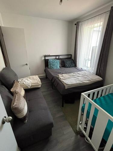 1 bedroom apartment for rent in Québec - Beauport — photo 3