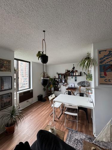 Appartement de 1 chambre à louer à Montreal - Le Plateau-Mont-Royal — photo 3