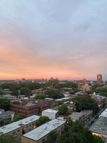 1 bedroom apartment for rent in Montreal - Le Plateau-Mont-Royal — photo 2
