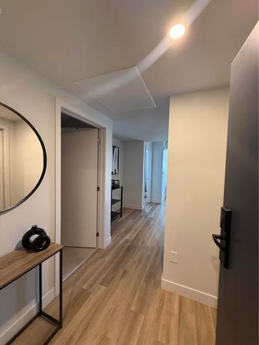 1 bedroom apartment for rent in Lévis — photo 2