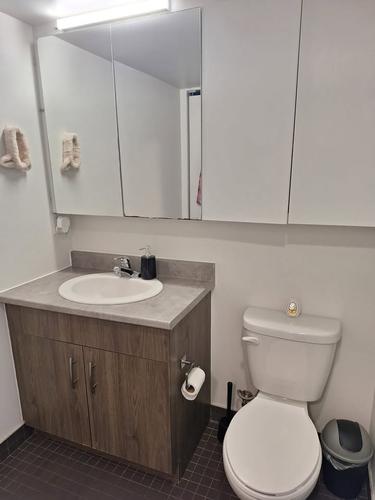 1 bedroom apartment for rent in Montreal - Le Plateau-Mont-Royal — photo 3