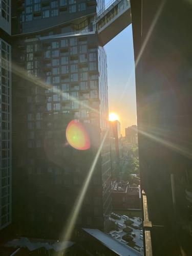 Appartement de 1 chambre à louer à Montreal - Ville-Marie — photo 2