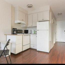1 bedroom apartment for rent in Montreal - Rosemont–La Petite-Patrie — photo 2