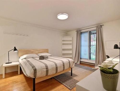 1 bedroom apartment for rent in Montreal - Le Plateau-Mont-Royal — photo 6