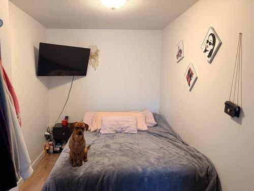 1 bedroom apartment for rent in Gatineau — photo 6