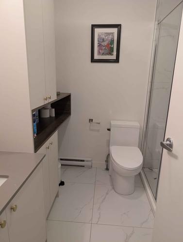 1 bedroom apartment for rent in Québec - Sainte-Foy–Sillery–Cap-Rouge — photo 9