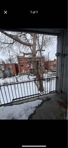 1 bedroom apartment for rent in Montreal - Villeray–Saint-Michel–Parc-Extension — photo 7